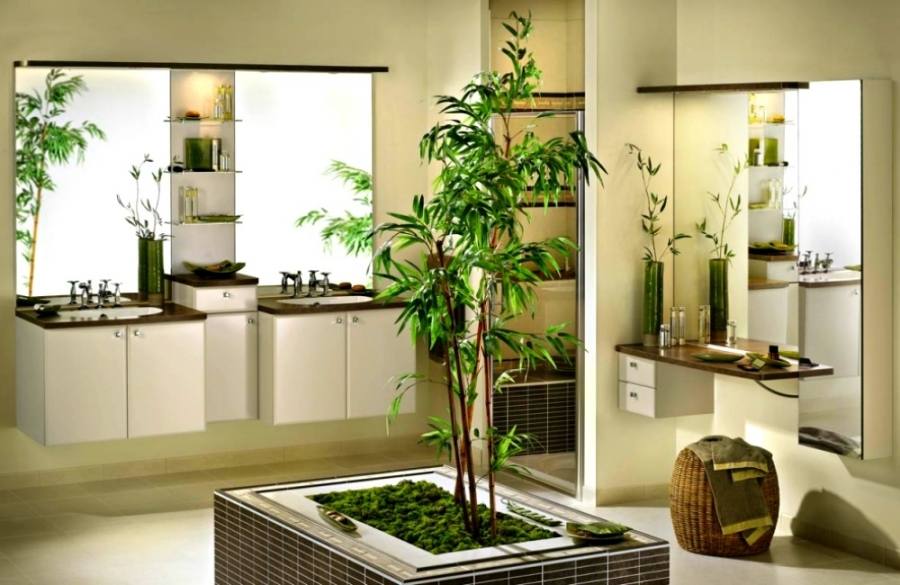 plants for bathroom
