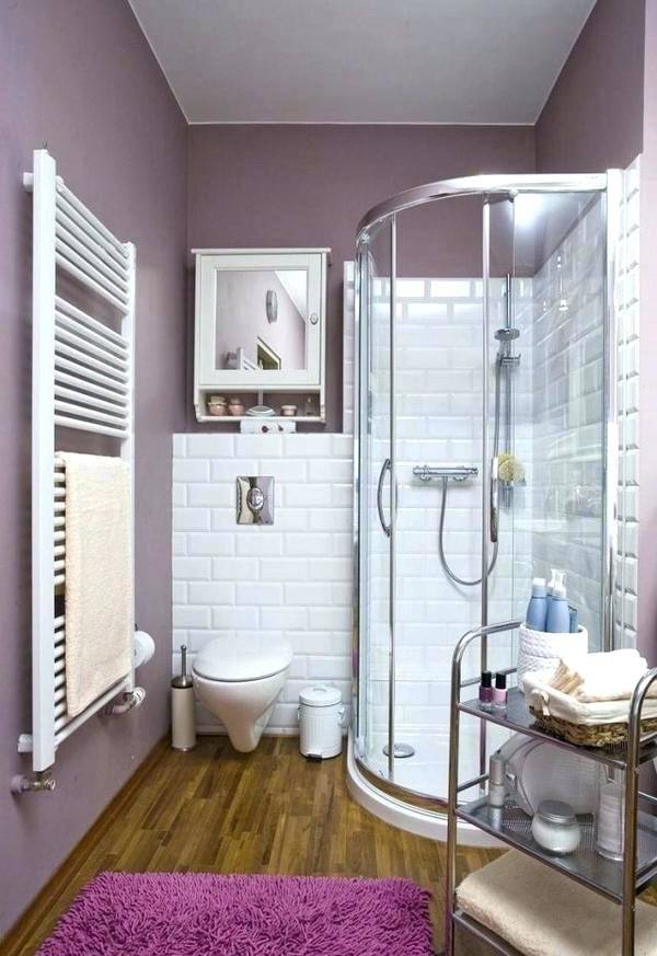 Basement Bathroom Ideas On Budget, Low Ceiling and For Small Space
