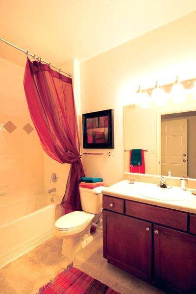 Decor Ideas For Apartments Perfect Amazing Apartment Decor Ideas Apartment Bathroom