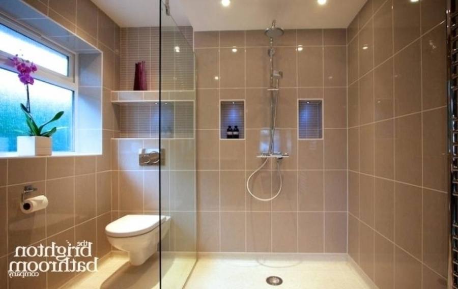 pictures of handicap bathrooms | Handicapped Accessible Shower Design Ideas, Pictures, Remodel, and