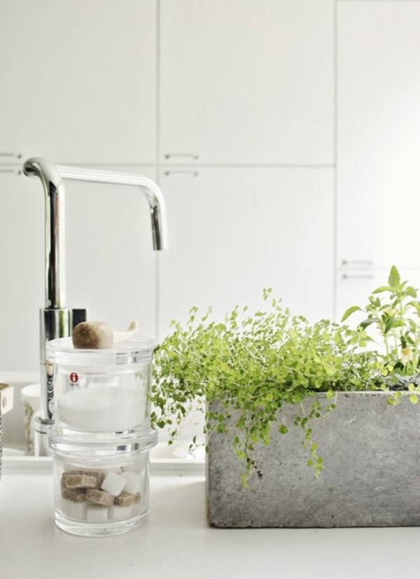 Best plants for bathrooms – 20 indoor plants for the bathroom