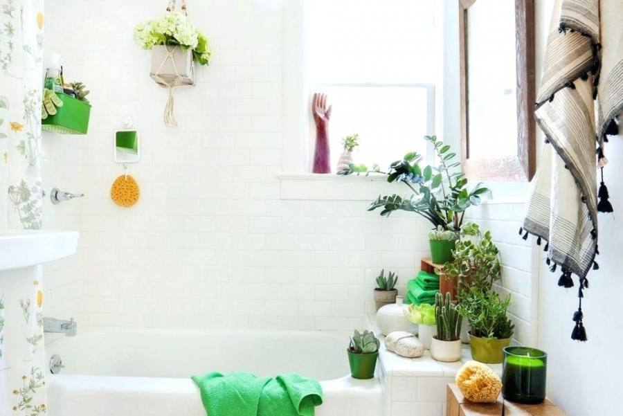 plants bathroom ideas best for bathrooms with no window how to make the most of house