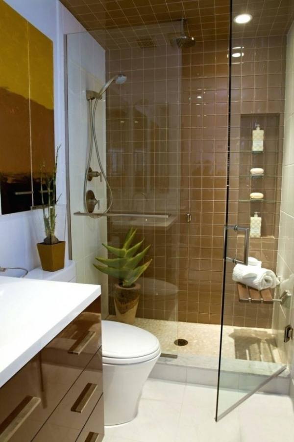 Basement Bathroom Ideas On Budget, Low Ceiling And For Small Space