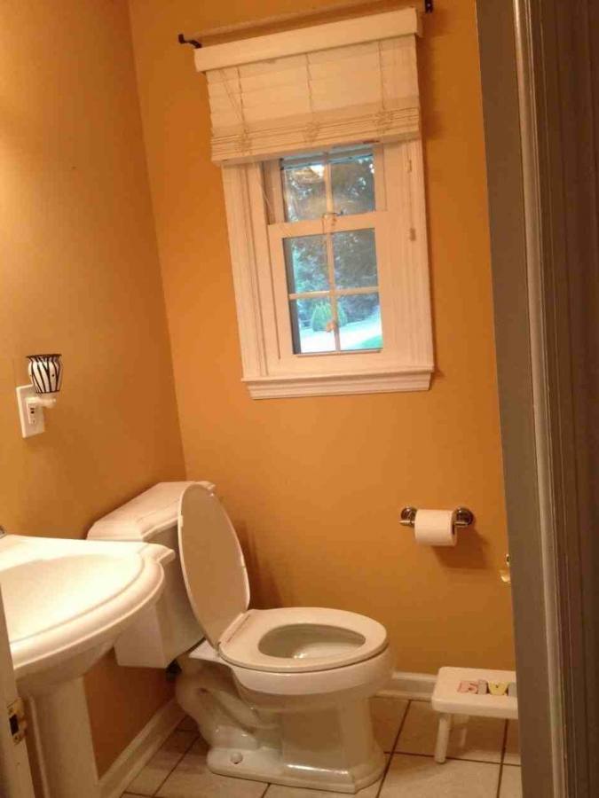Bathroom Renovation Ideas: