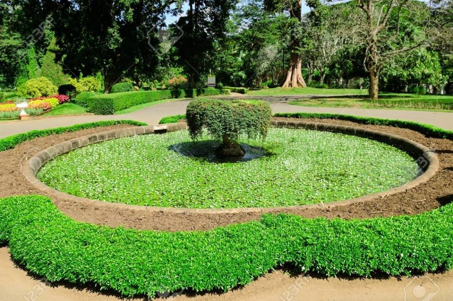 More Reused Items To Boost Your Garden Earth Name Sri Lanka