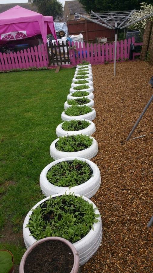 A really cheap and easy way to spruce up your garden