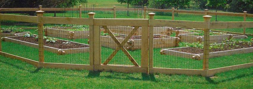 decorative fence