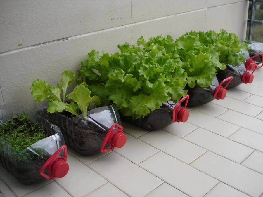Full Size of Decorating Plastic Bottle Pot Plant Window Garden Plastic Bottles Bottle Garden Bed Wine