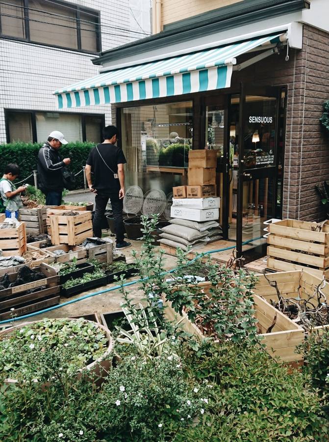 Original framing for garden plants can be created even from the waste material: both the yard decorated, and the ecology is to the benefit