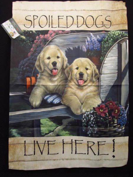 Outdoor Dog Bed and Lounger