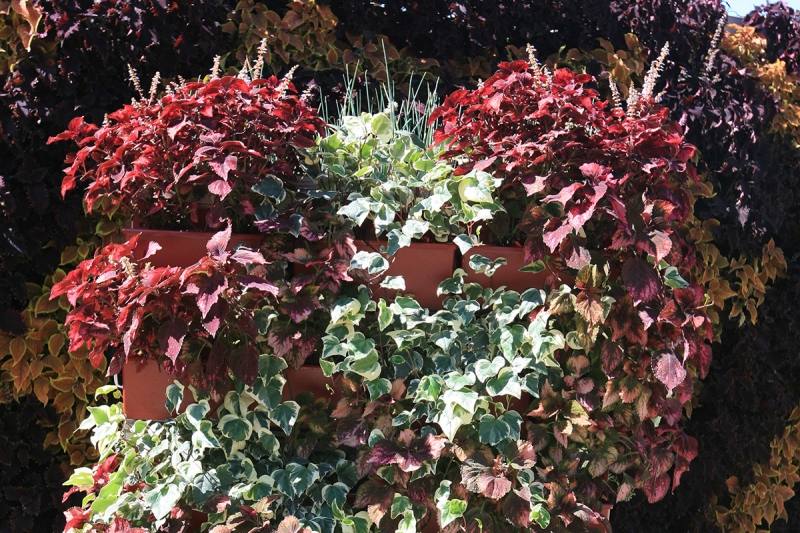 outdoor living wall plus wall plants outdoor wall plants outdoor garden artificial plants fire retardant outdoor