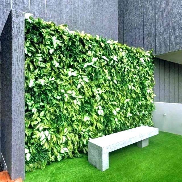 When used on the exterior of buildings, vertical gardens are most frequently found in cities,