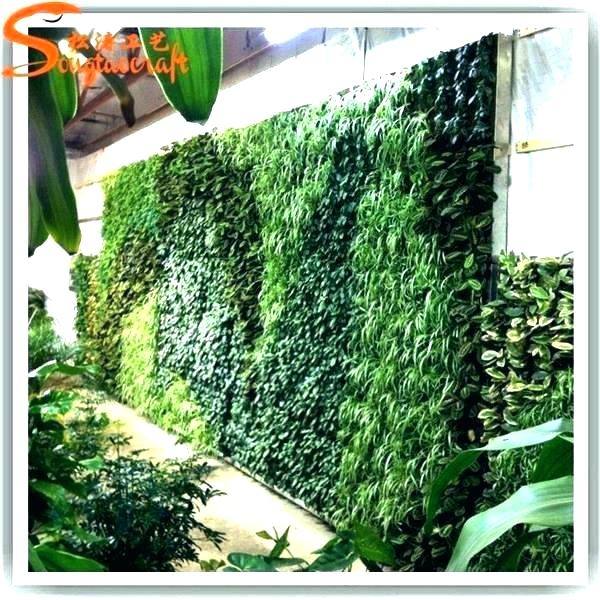 Medium Size of Outdoor Living Wall Uk Panel Grid Walls Canada Plant Fake Hang Green For