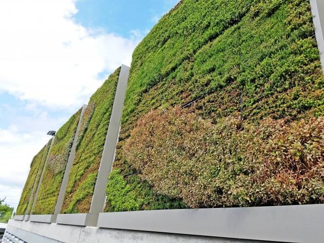 'Living walls' can be created with canvas planters, which are attached to the wall with screws and which contain pockets for the plants