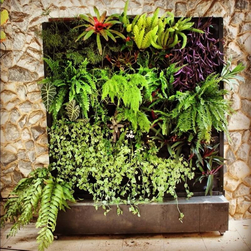 Tropical Collection plants · Tropical Living Wall plants