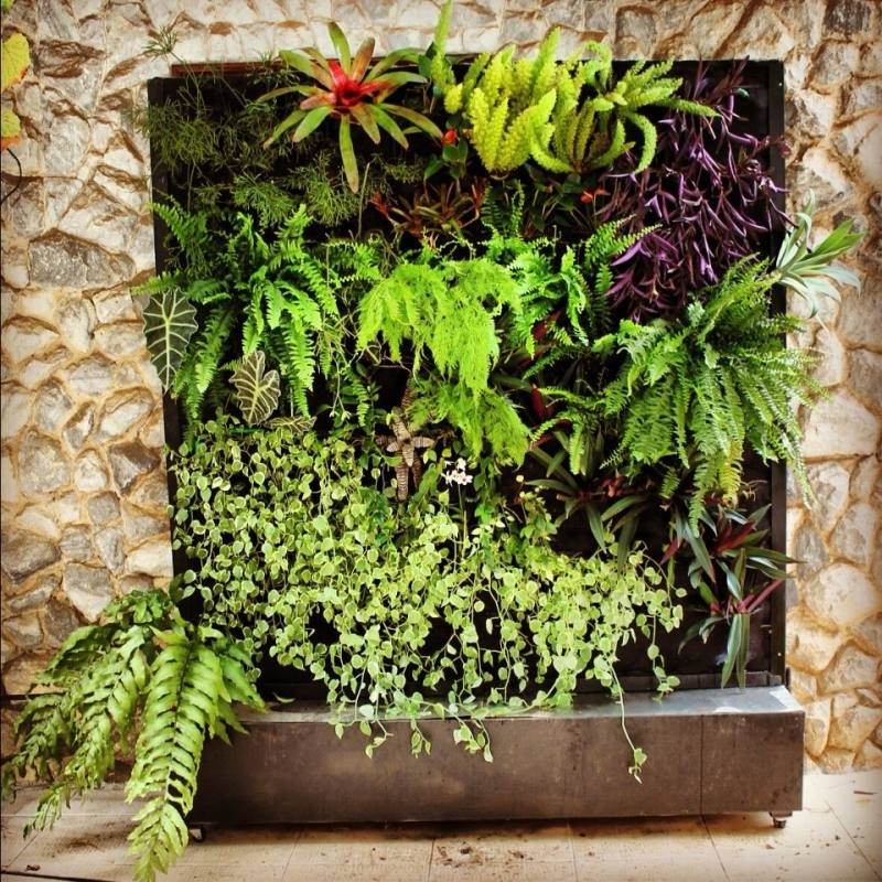 Tropical Collection plants · Tropical Living Wall plants