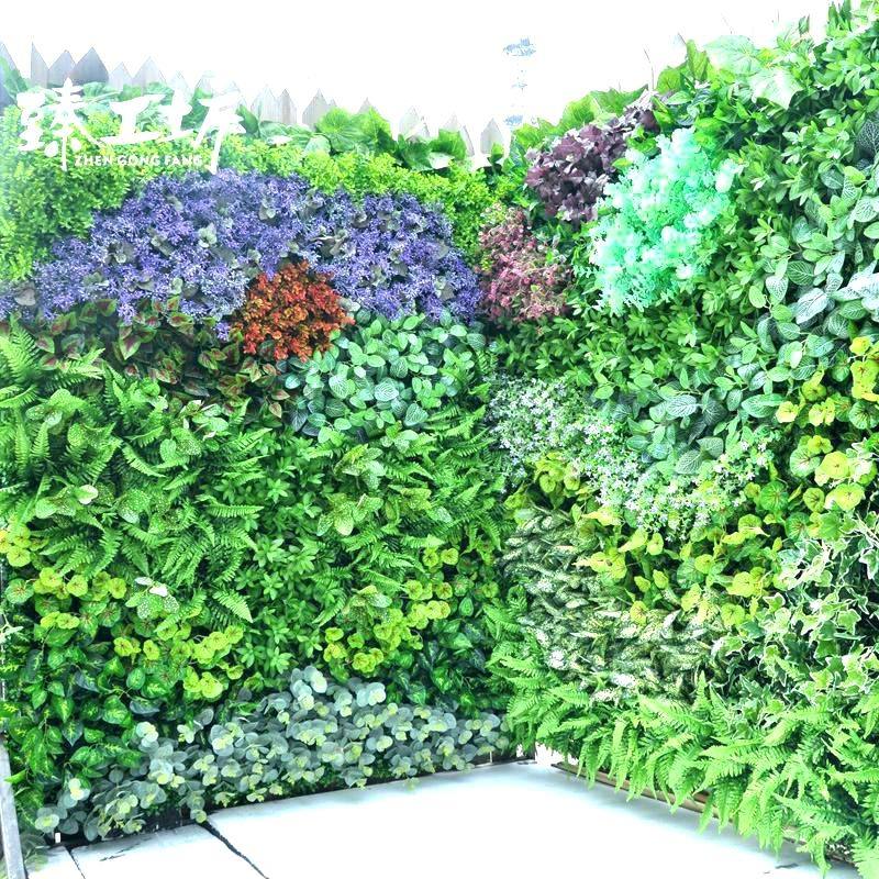 Herb and edible living wall plants