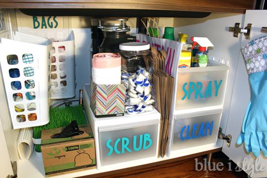 under the kitchen sink storage