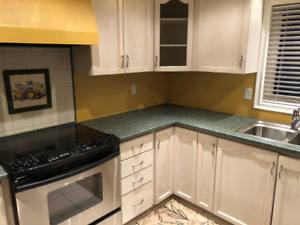 used kitchen cabinets craigslist kitchen cabinets used kitchen cabinets  used kitchen cabinets craigslist mn